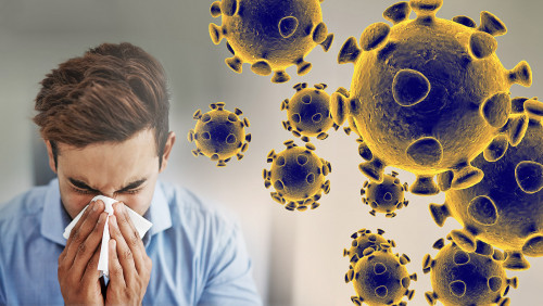 কক্সবাজারে পর্যটক ঠেকাতে চেকপোস্ট