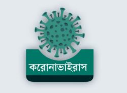 কোন দেশে কতজন বাংলাদেশি মারা গেছেন