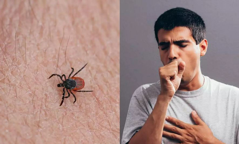 চীনের ‘বুনিয়া’ ভাইরাসও মানুষ থেকে মানুষে ছড়ায় করোনার মতো