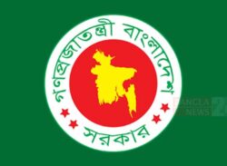 চেয়ারম্যান-মেম্বারদের শিক্ষাগত যোগ্যতা নিয়ে কোনো সিদ্ধান্ত হয়নি