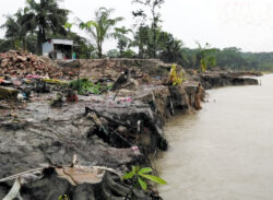 ভাঙনে দিশেহারা নদী তীরের মানুষ