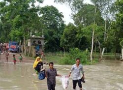 ৩৩ জেলায় পানিবাহিত রোগে মৃত্যু ১৯৮