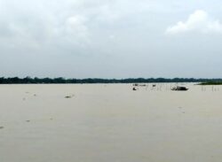 বরিশালে প্রবল বৃষ্টি-জোয়ারে ডুবে গেছে বহু এলাকা