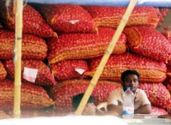 ক্রেতা নেই খুচরা-পাইকারি পেঁয়াজ বাজারে