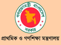 সফটওয়্যার আপগ্রেড হলেই প্রাথমিক শিক্ষকদের উচ্চধাপে বেতন