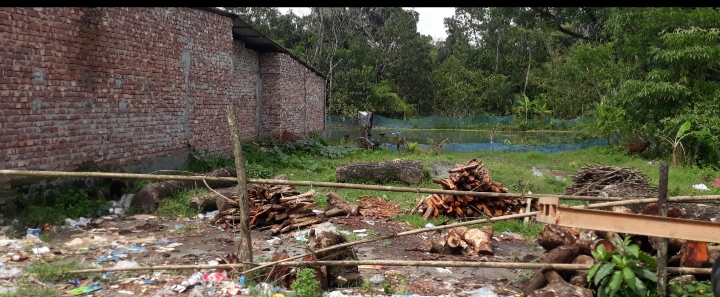 দুই লক্ষ টাকার গাছ ২৫ হাজার টাকায় বিক্রি করলেন সড়ক পরিদর্শক আজিজ!