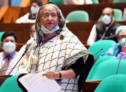 অপরাধী কোন দলের আমি তা দেখি না : প্রধানমন্ত্রী