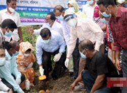 বরিশালে এক লাখ তালের বীজ রোপন কর্মসূচির উদ্বোধন