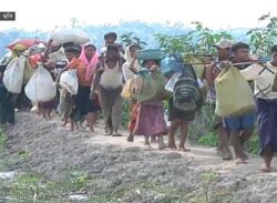 রোহিঙ্গাদের ওপর নির্যাতনের কথা স্বীকার করল মিয়ানমার