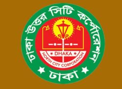 ২৪ কোটি টাকার প্রকল্পে পরামর্শক ব্যয় ১৬ কোটি!