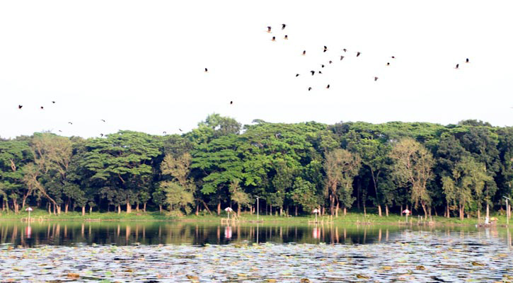 দুর্গাসাগরে ডানা ঝাপটে পরিযায়ীদের কলকাকলি