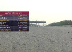 পদ্মা সেতুতে টোল দিতে থামাতে হবে না গাড়ি