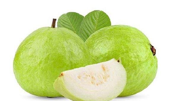 কমলার চেয়েও ৪ গুণ বেশি পুষ্টি পেয়ারায়