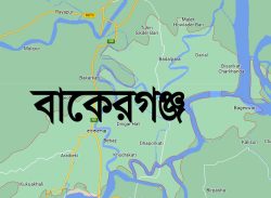 বাকেরগঞ্জে চাচার বিরুদ্ধে ভাতিজির শ্লীলতাহানির অভিযোগ, নেপথ্যে কাহিনী ভিন্ন